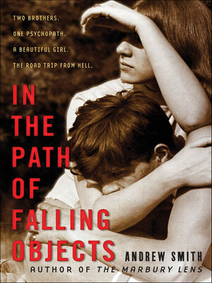 In the Path of Falling Objects - ebook